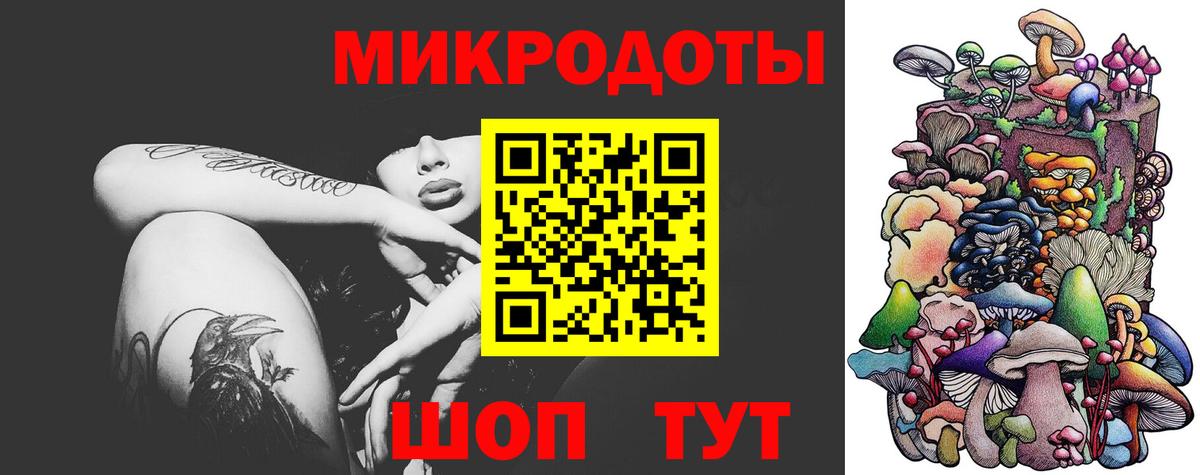 Псилоцибиновые грибы Psilocybe  Вход с VPN  Котовск  Галлюциногенные грибы Psilocybine cubensis 