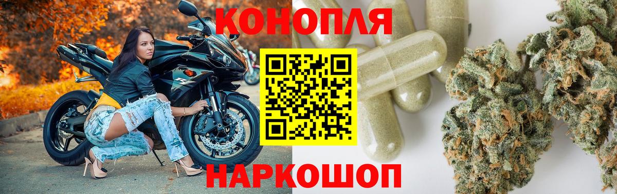 Канабис ГИДРОПОН Котовск